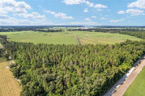 Land in Trenton, Florida № 1908782 - photo 11