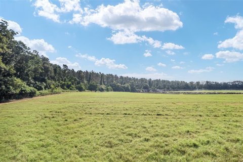 Land in Trenton, Florida № 1908782 - photo 28