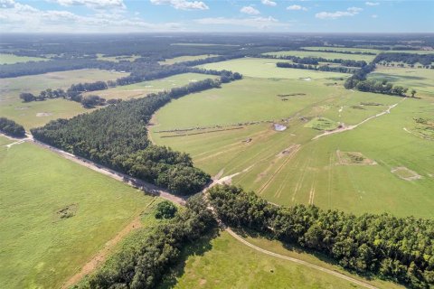 Land in Trenton, Florida № 1908782 - photo 6