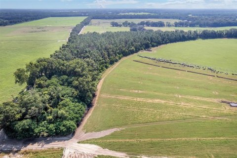 Land in Trenton, Florida № 1908782 - photo 18