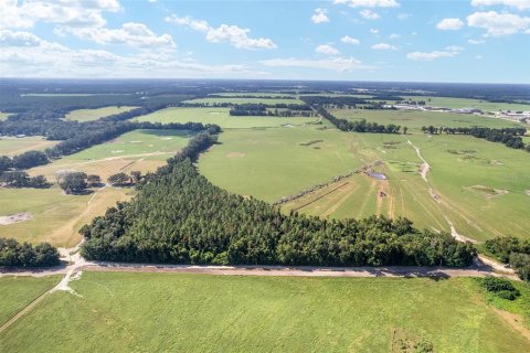 Land in Trenton, Florida № 1908782 - photo 13