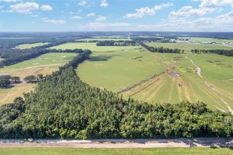 Land in Trenton, Florida № 1908782 - photo 15