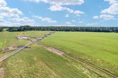 Land in Trenton, Florida № 1908782 - photo 26