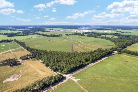 Land in Trenton, Florida № 1908782 - photo 12