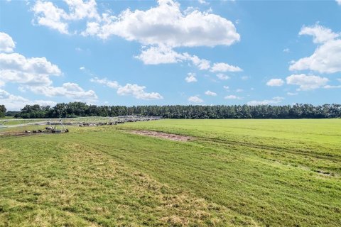 Land in Trenton, Florida № 1908782 - photo 27