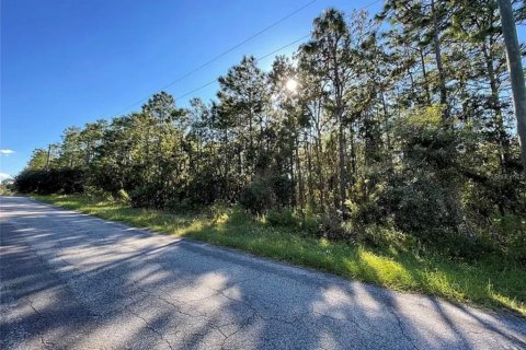 Land in Homosassa, Florida № 2212731 - photo 15
