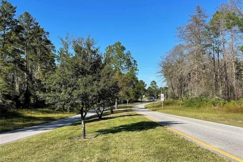 Land in Homosassa, Florida № 2212731 - photo 12