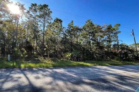 Land in Homosassa, Florida № 2212731 - photo 3