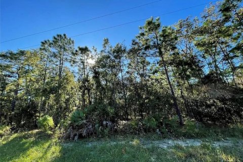 Land in Homosassa, Florida № 2212731 - photo 2