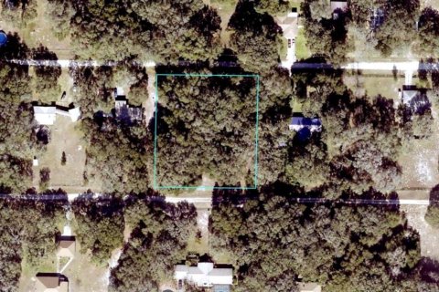 Terreno en venta en Dunnellon, Florida № 1865898 - foto 1