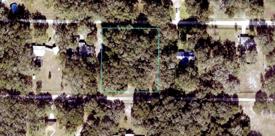 Terrain à Dunnellon, Floride № 1865898