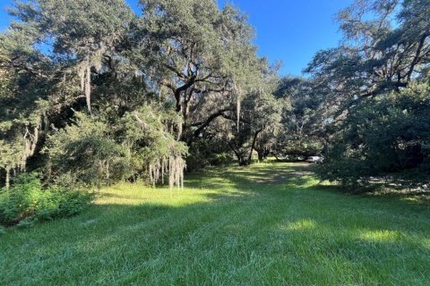 Terreno en venta en Dunnellon, Florida № 1865898 - foto 7