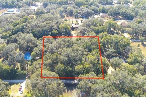 Terreno en venta en Dunnellon, Florida № 1865898 - foto 6
