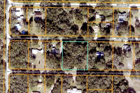 Terreno en venta en Dunnellon, Florida № 1865898 - foto 2