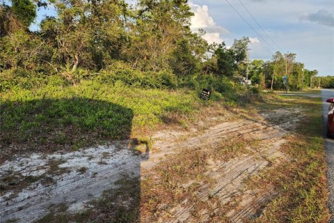 Land in Eustis, Florida № 1670939 - photo 2