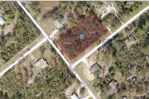 Land in Eustis, Florida № 1670939 - photo 1