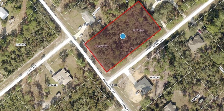 Land in Eustis, Florida № 1670939