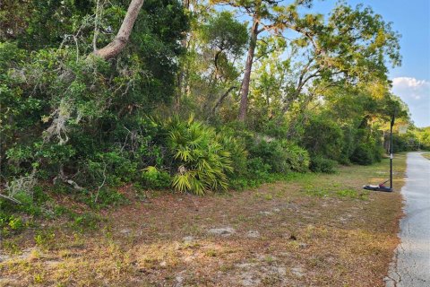 Land in Eustis, Florida № 1670939 - photo 3