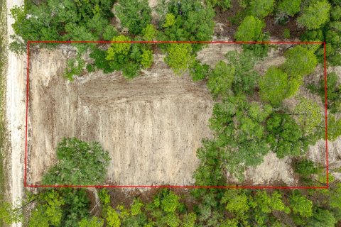 Купить виллу или дом в Даннеллон, Флорида 7 комнат, 272.48м2, № 2095074 - фото 6