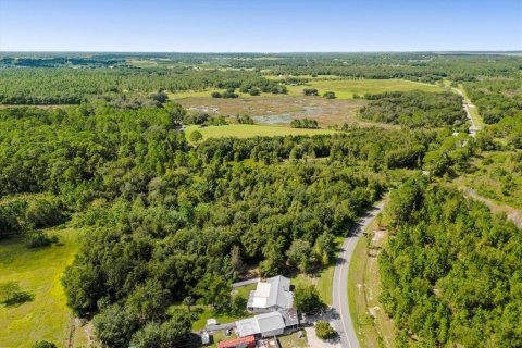 Land in Howey-in-the-Hills, Florida № 1440869 - photo 3