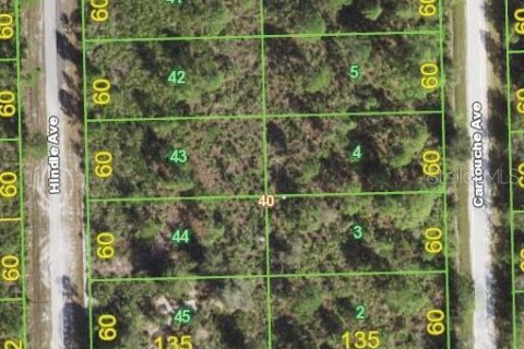 Land in Punta Gorda, Florida № 2162815