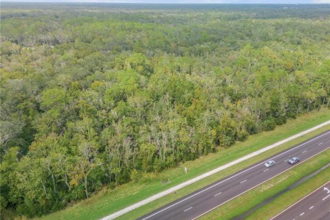 Terreno en venta en Edgewater, Florida № 1388700 - foto 11