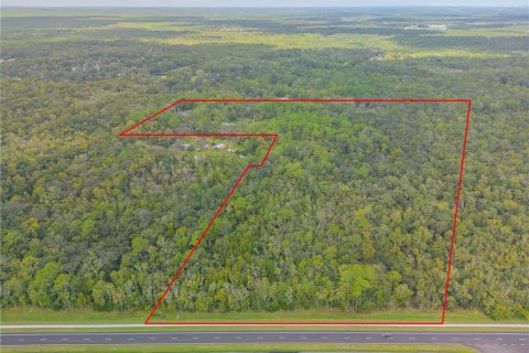 Terreno en venta en Edgewater, Florida № 1388700 - foto 9