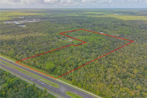 Terreno en venta en Edgewater, Florida № 1388700 - foto 7