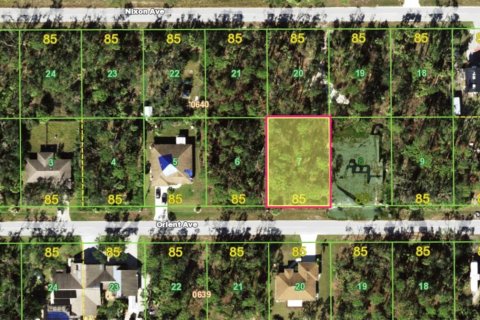Land in Port Charlotte, Florida № 2166478