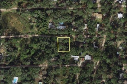 Land in Umatilla, Florida № 2160308 - photo 2