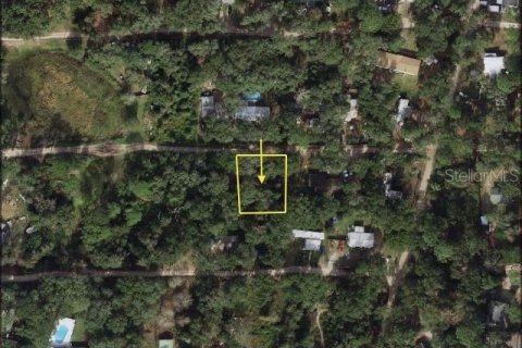 Land in Umatilla, Florida № 2160308