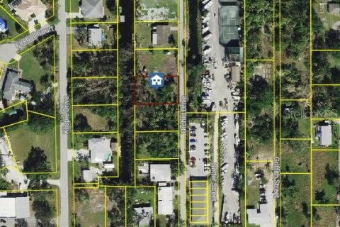 Land in Punta Gorda, Florida № 1538293 - photo 2