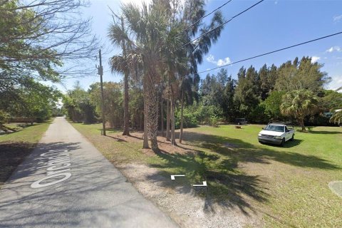 Land in Punta Gorda, Florida № 1538293 - photo 1