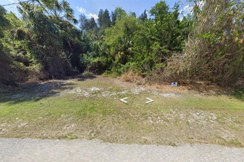 Land in Punta Gorda, Florida № 1538293 - photo 3