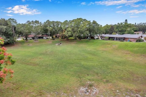 Condo in Palm Harbor, Florida, 2 bedrooms № 2098344 - photo 3