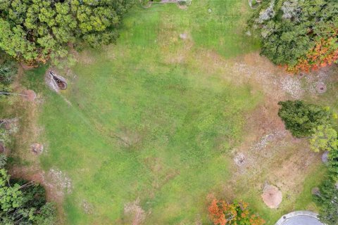 Condo in Palm Harbor, Florida, 2 bedrooms № 2098344 - photo 5