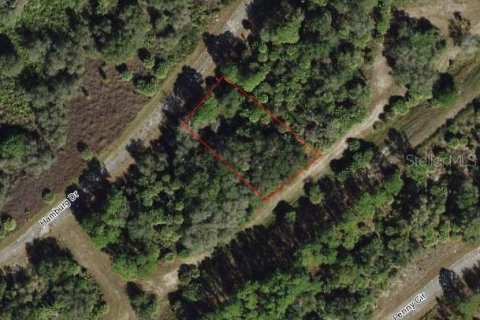 Land in North Port, Florida № 2160104 - photo 5