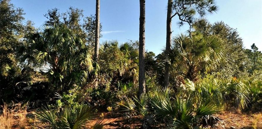 Land in North Port, Florida № 2160104