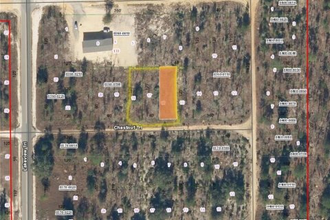 Land in Interlachen, Florida № 2161882