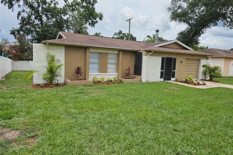 House in Valrico, Florida 3 bedrooms, 102.1 sq.m. № 1767883 - photo 2