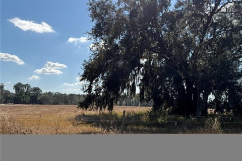 Terrain à vendre à Groveland, Floride № 2195349 - photo 5