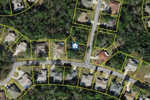 Terrain à Homosassa, Floride № 2228450