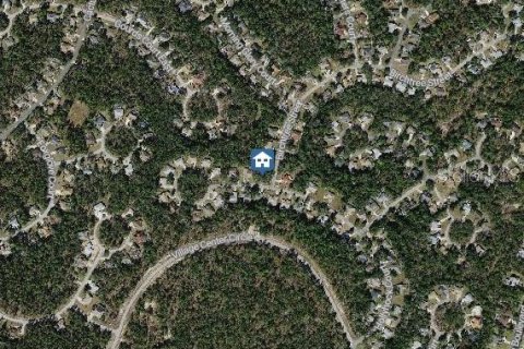 Terrain à vendre à Homosassa, Floride № 2228450 - photo 3