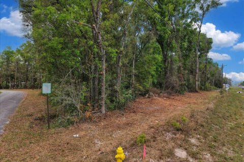Land in Fanning Springs, Florida № 2239969 - photo 16