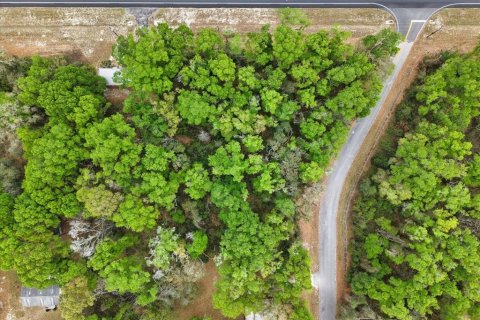 Land in Fanning Springs, Florida № 2239969 - photo 10