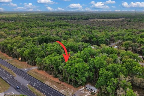 Land in Fanning Springs, Florida № 2239969 - photo 12