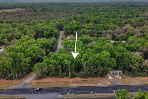 Land in Fanning Springs, Florida № 2239969 - photo 2