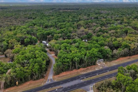 Land in Fanning Springs, Florida № 2239969 - photo 4