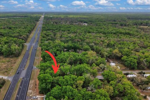 Land in Fanning Springs, Florida № 2239969 - photo 9
