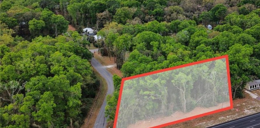 Land in Fanning Springs, Florida № 2239969